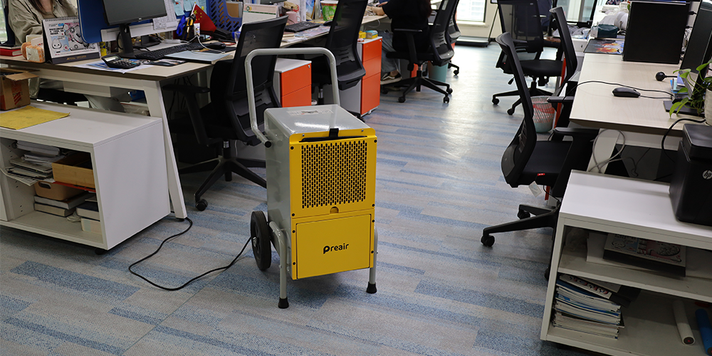 Dehumidifier in the Middle of the Room